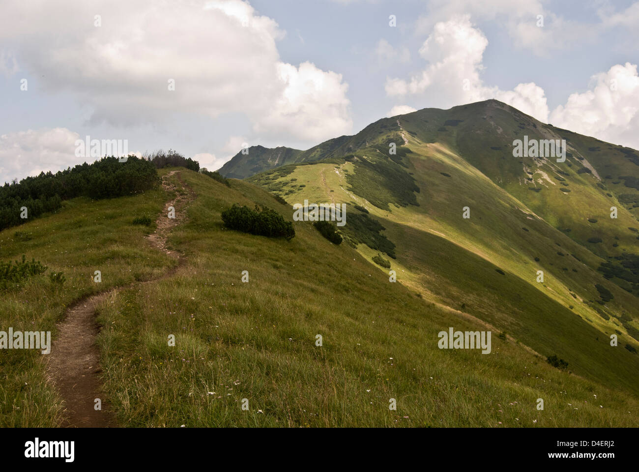 Alpenhauptkamms krivanska Mala Fatra mountain radge mit Wanderweg, Bergwiese, stratenec, Maly krivan und anderen Hügeln in der Slowakei Stockfoto