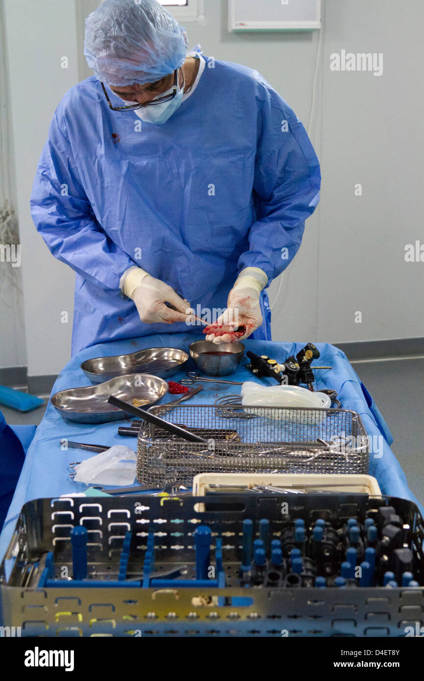 orthopädische Chirurgie in MSF Krankenhaus Port-au-Prince Haiti Stockfoto