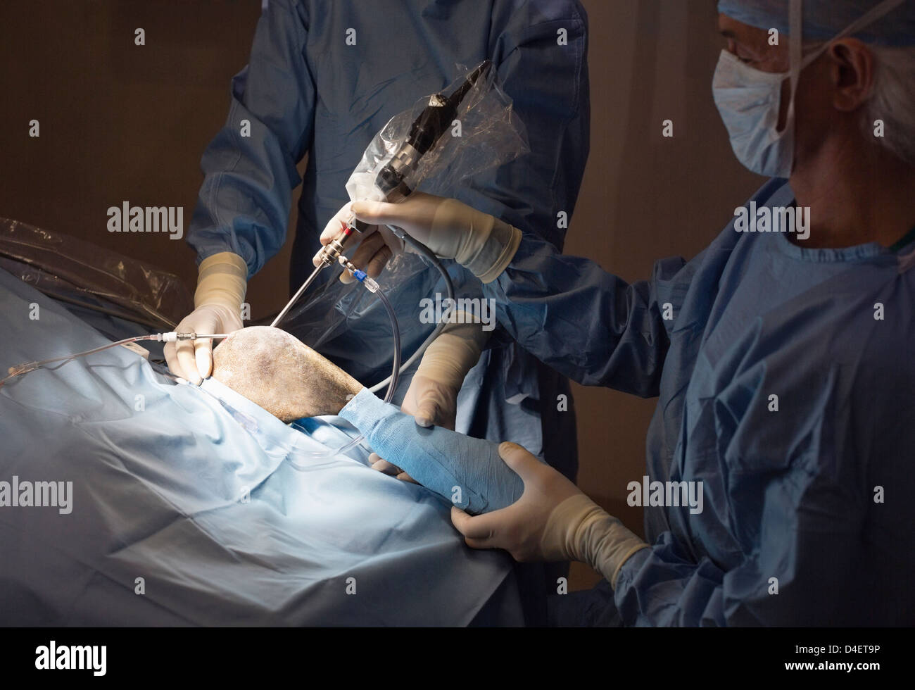 Chirurgen bei Arbeiten im Operationssaal Veterinär Stockfoto