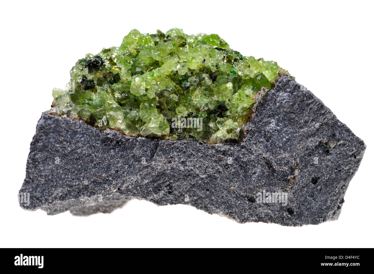 Peridot (mit einigen dunkleren Olivin-Kristalle) auf einer Matrix aus Basalt, aus Arizona Stockfoto