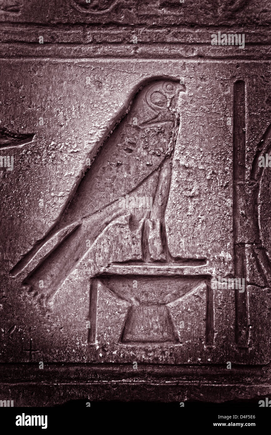 Horus im Karnak-Tempel Stockfoto