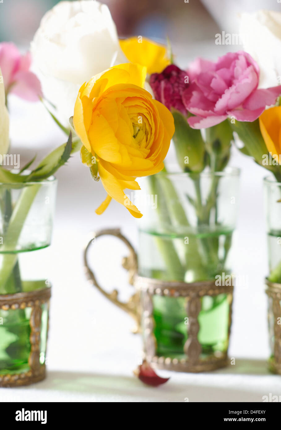 Schließen Sie oben Blume Trauben in Gläsern Stockfoto