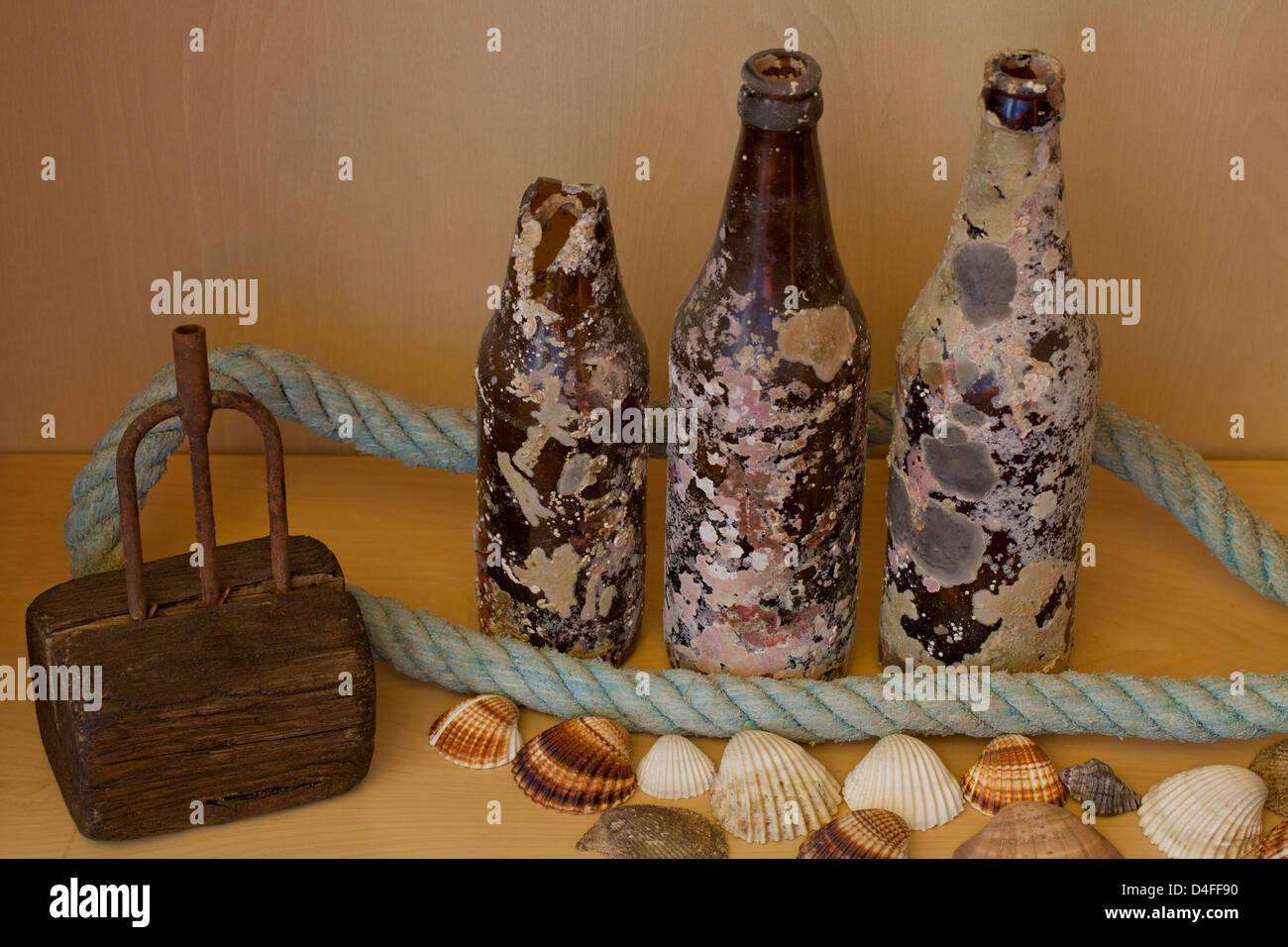 Treibholz, Harpune, Seil, Bierflaschen, die am Meeresboden und Muscheln gefunden Stockfoto