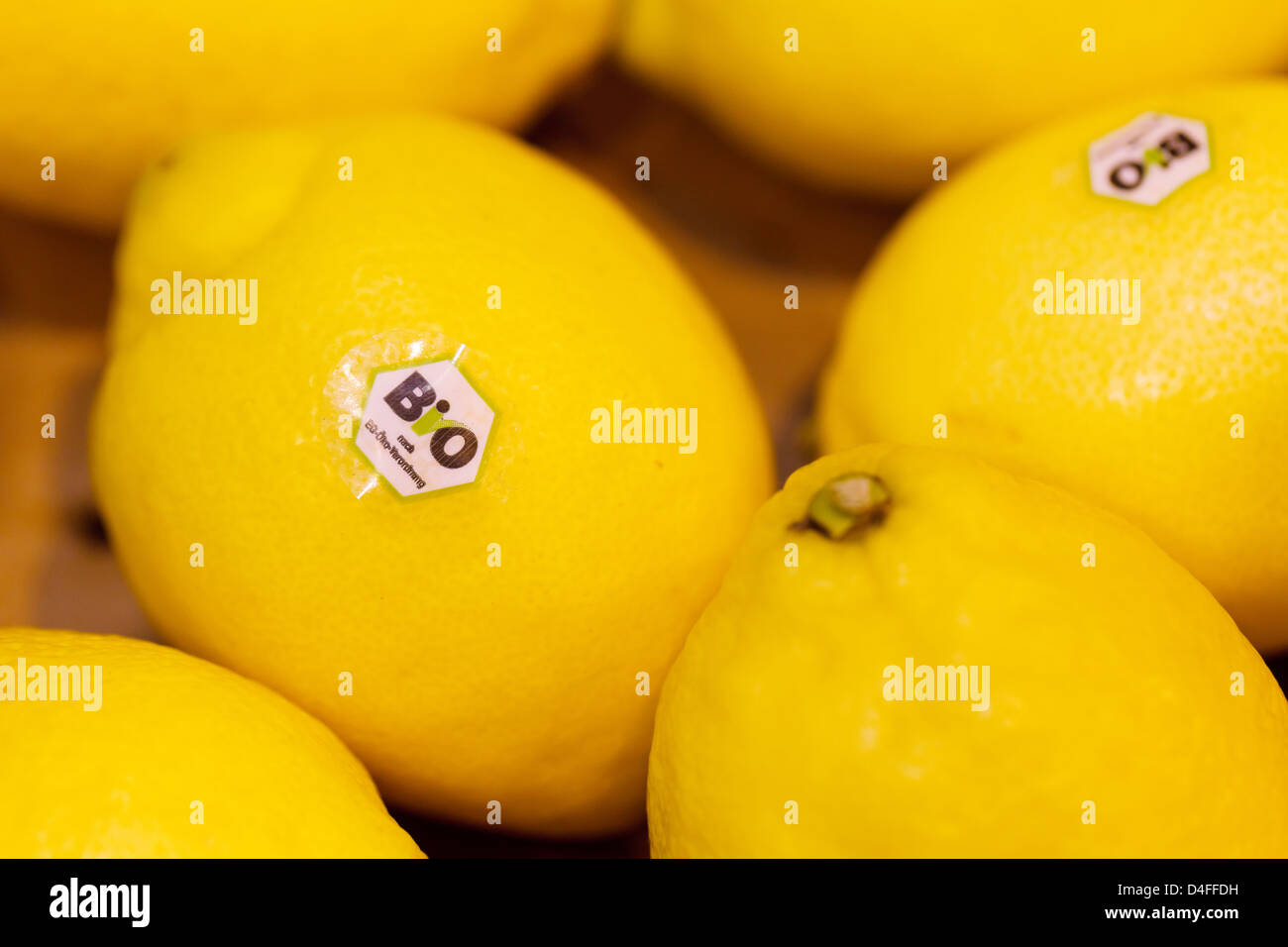Berlin, Deutschland, Zitrone mit EU-Bio-Logo auf der Fruit Logistica 2011 Stockfoto