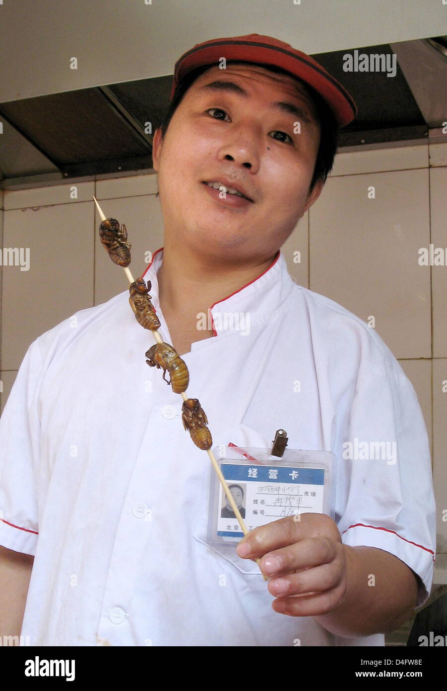 Spitzkopf zikaden Fotos und Bildmaterial in hoher Auflösung Alamy