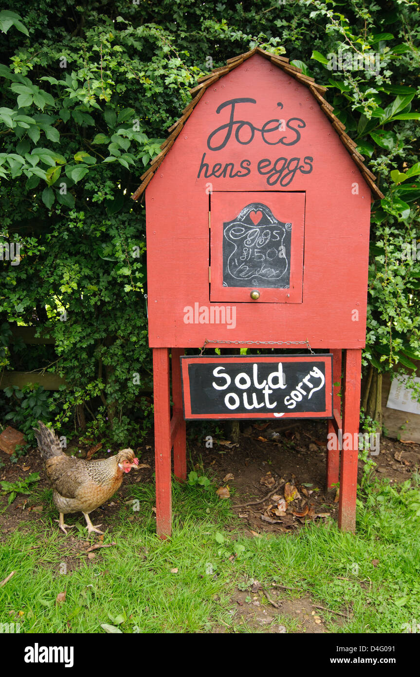 Hühnereier zum Verkauf auf dem Bauernhof in den Cotswolds, England. Aber sie sind jetzt ausverkauft. Tut mir Leid. Stockfoto