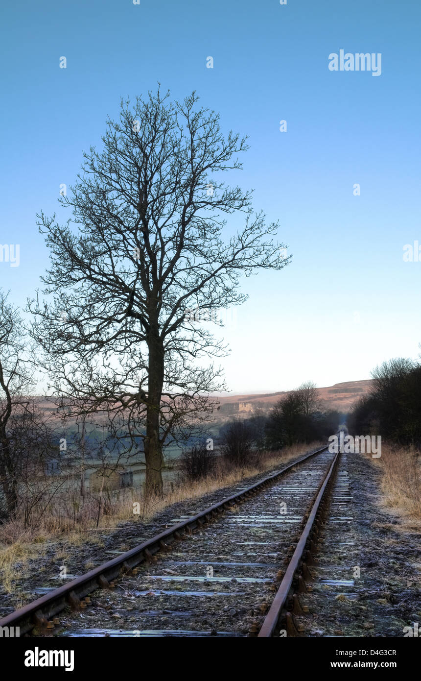 Das Gleis führt zu Redmire in Wensleydale, Großbritannien Stockfoto