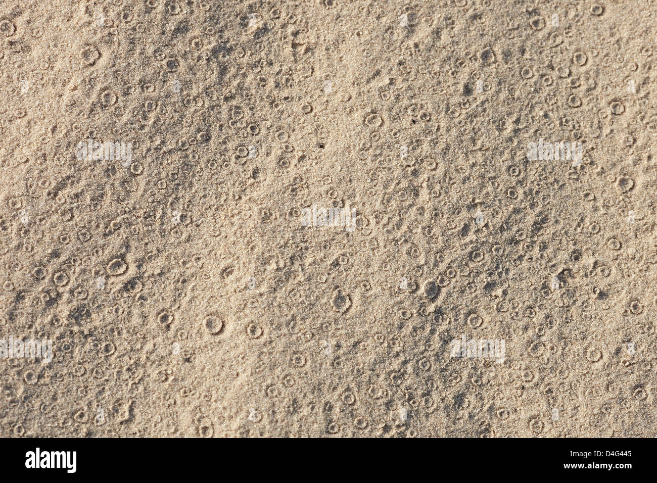 Spuren von Regen auf sand Stockfoto