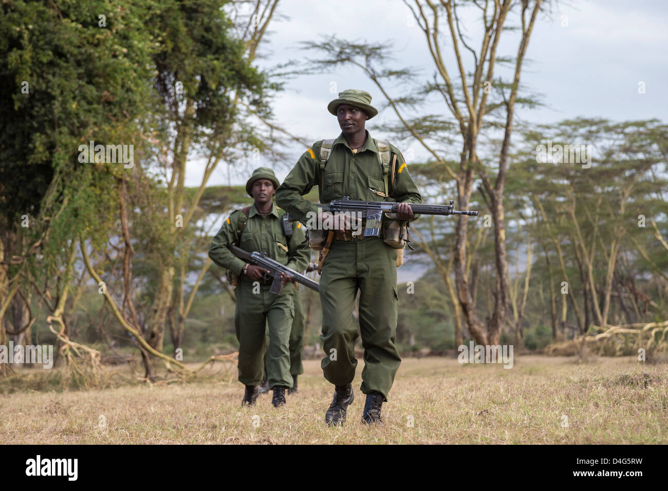 Anti-Wilderer-Patrouillen, Lewa Conservancy, Laikipia, Kenia, September 2012 Stockfoto