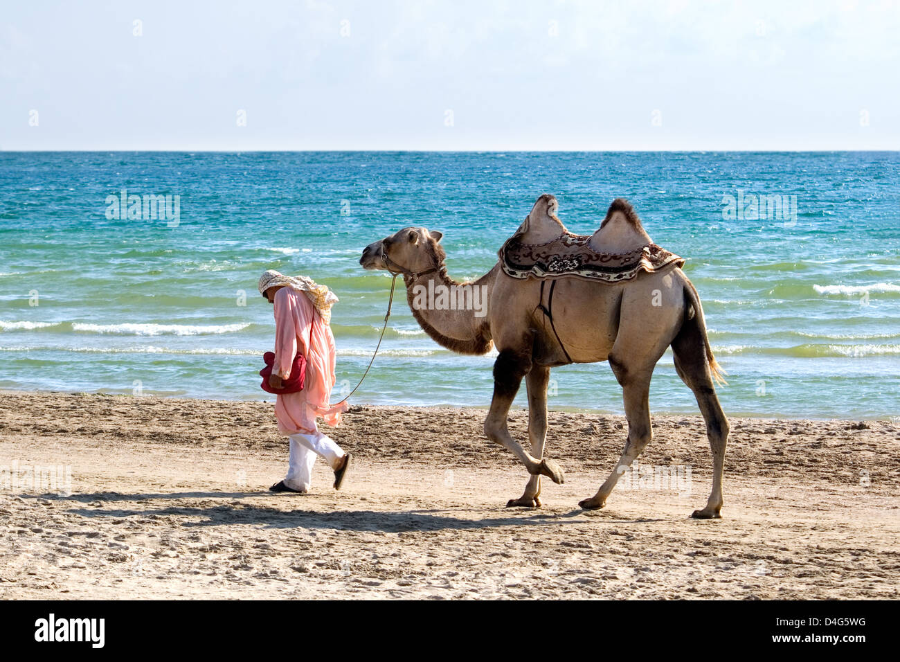Die Viehtreiber mit einem Kamel gehen am Ufer des Meeres Stockfoto