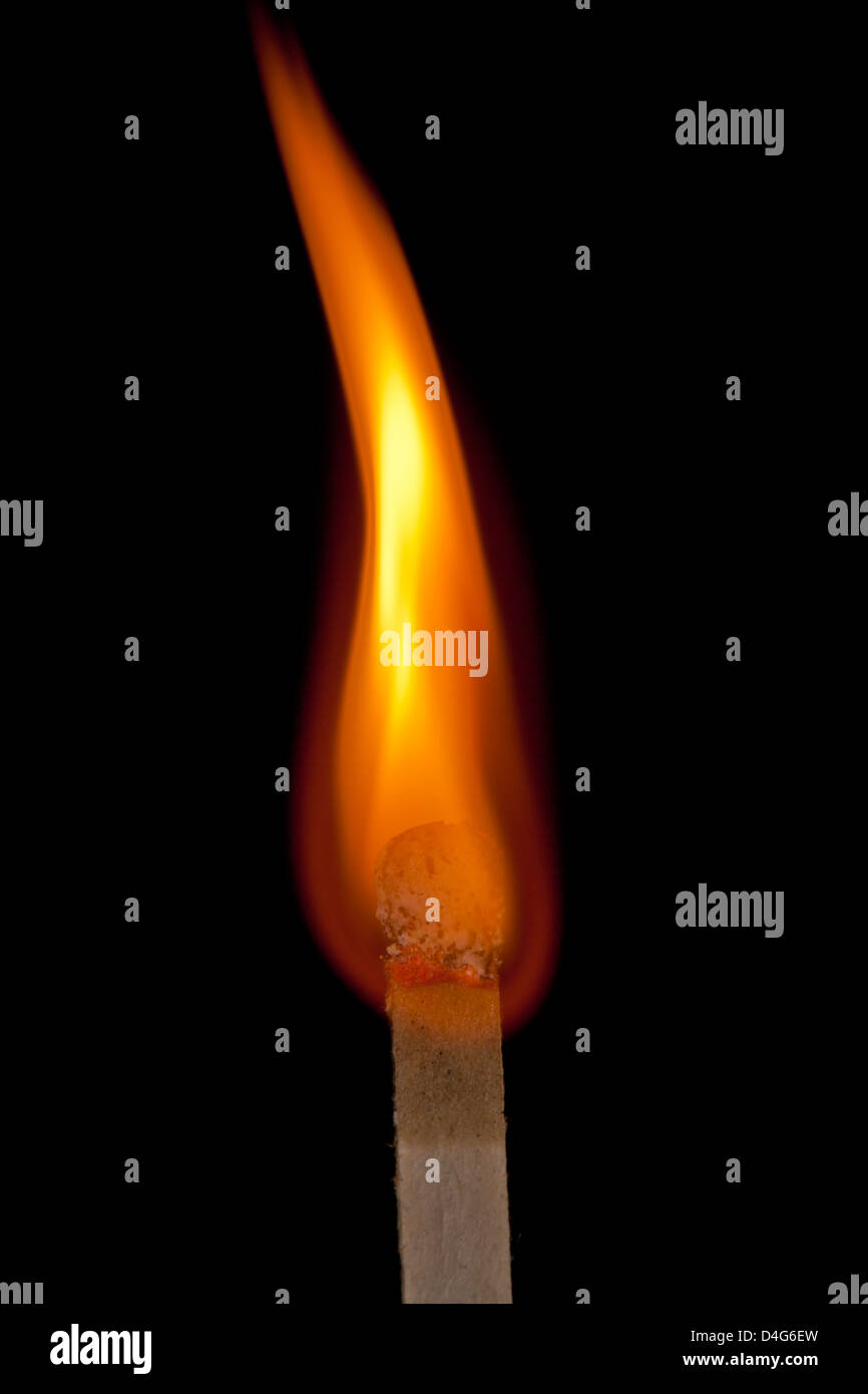 Flamme brennenden auf Match auf schwarzem Hintergrund. Stockfoto