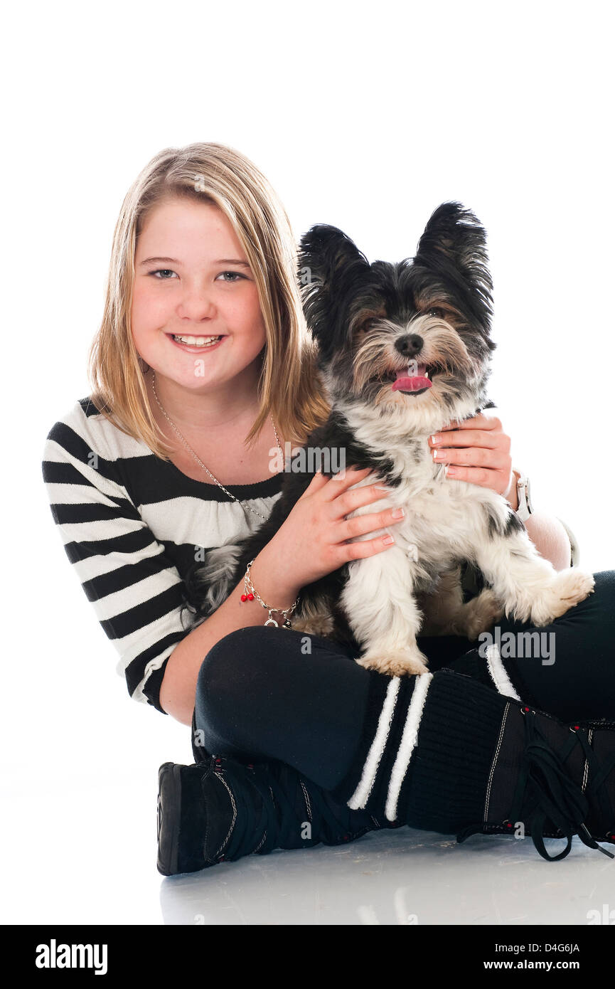 Beaver Yorkshire-Terrier, isoliert auf weiss Stockfoto