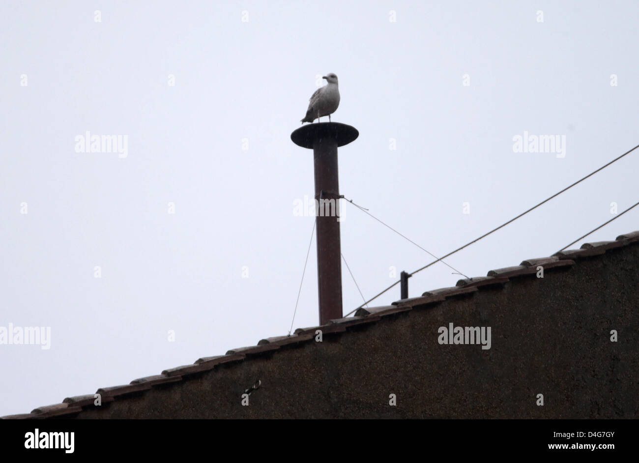 Eine Möwe sitzt auf dem Schornstein der Sixtinischen Kapelle im Vatikan, 13. März 2013. Schwarzer Rauch zeigt einen erfolglosen Wahlgang, weißer Rauch zeigt, dass ein neuer Papst gewählt worden ist. Die Kardinäle am Konklave wählen derzeit einen Nachfolger für Papst Benedict XVI. Foto: Michael Kappeler Stockfoto