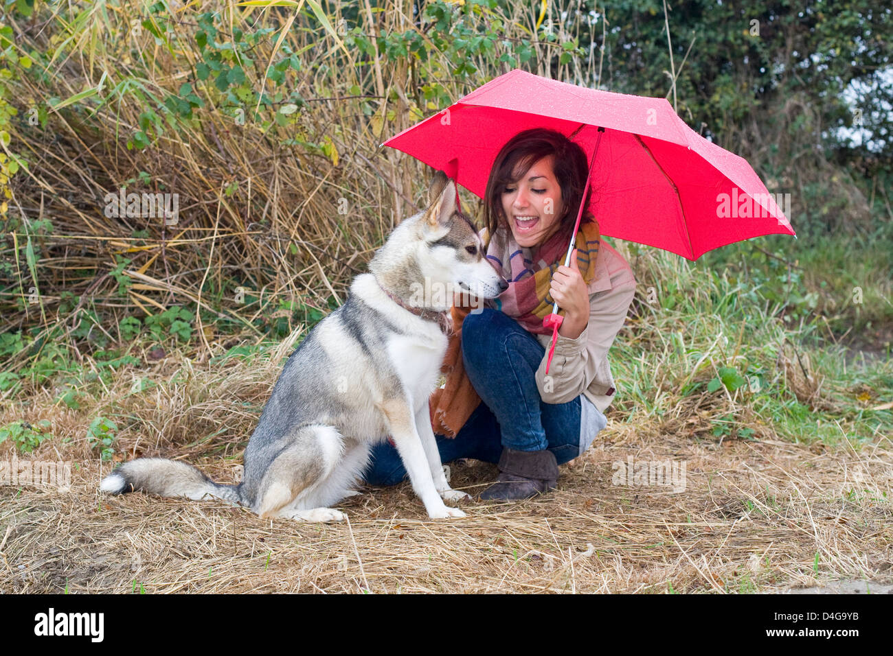 Teenager-Mädchen mit Alaskan Malamute Hund schützt vor dem Regen unter roten Regenschirm spazieren Land Stockfoto