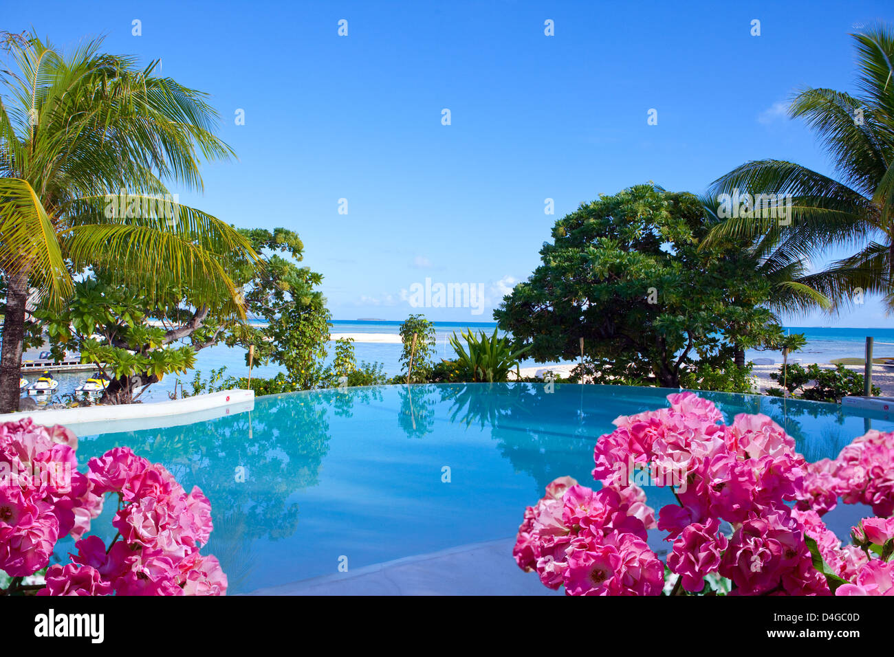 Der Pool am Meer in tropischen Pflanzen und Blumen Stockfoto Der Pool am Meer in tropischen Pflanzen und Blumen Stockfoto