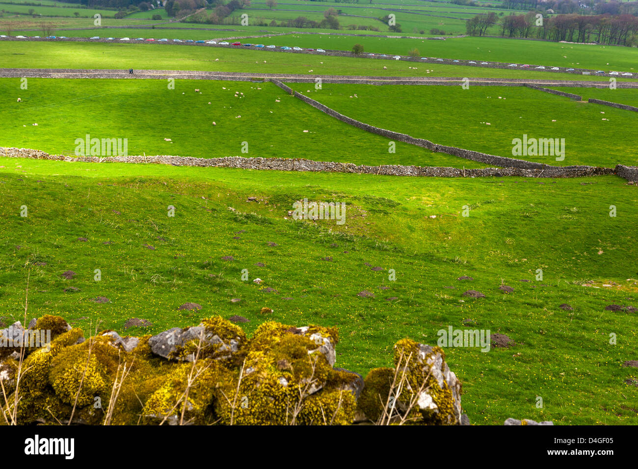Trockenmauern mit Blick auf Felder in der Peak District National Park, Castleton, Derbyshire, England, UK, Europa. Stockfoto