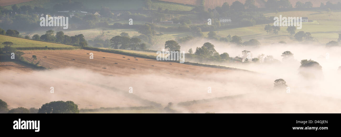 Nebel bedeckt Hügellandschaft nahe dem Dorf von Cadbury, Devon, England. Herbst (September) 2012. Stockfoto