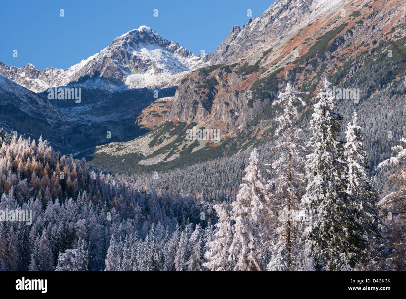 Schnee bestäubt Berge und Kiefernwälder der hohen Tatra, Slowakei, Europa. Herbst (Oktober) 2012. Stockfoto