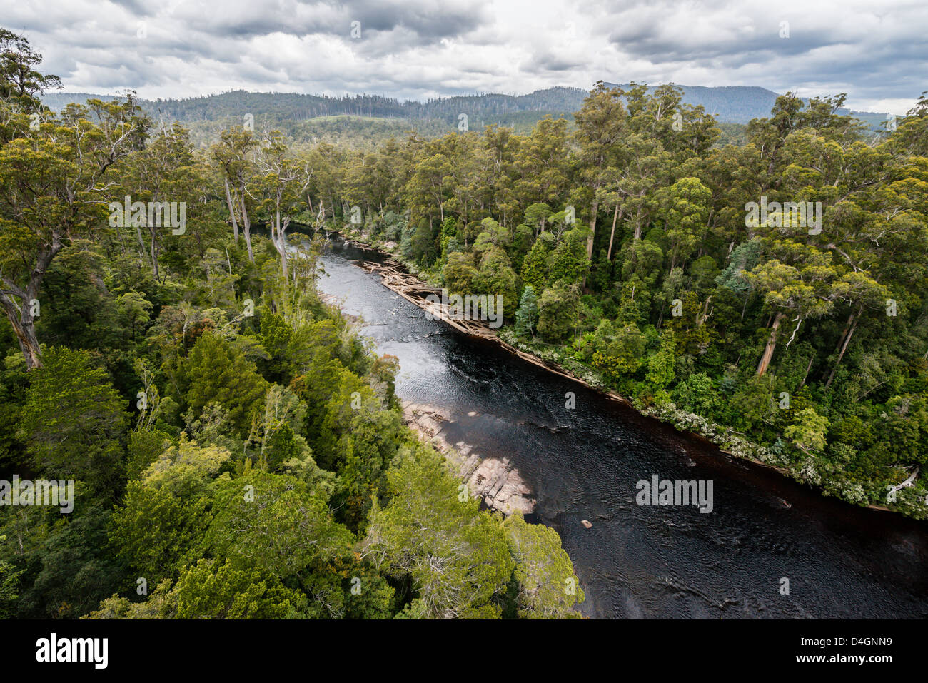 Eine Vogelperspektive des spektakulären Huon River und des Waldes von Tahune Forest Airwalk, Tasmanien. Stockfoto