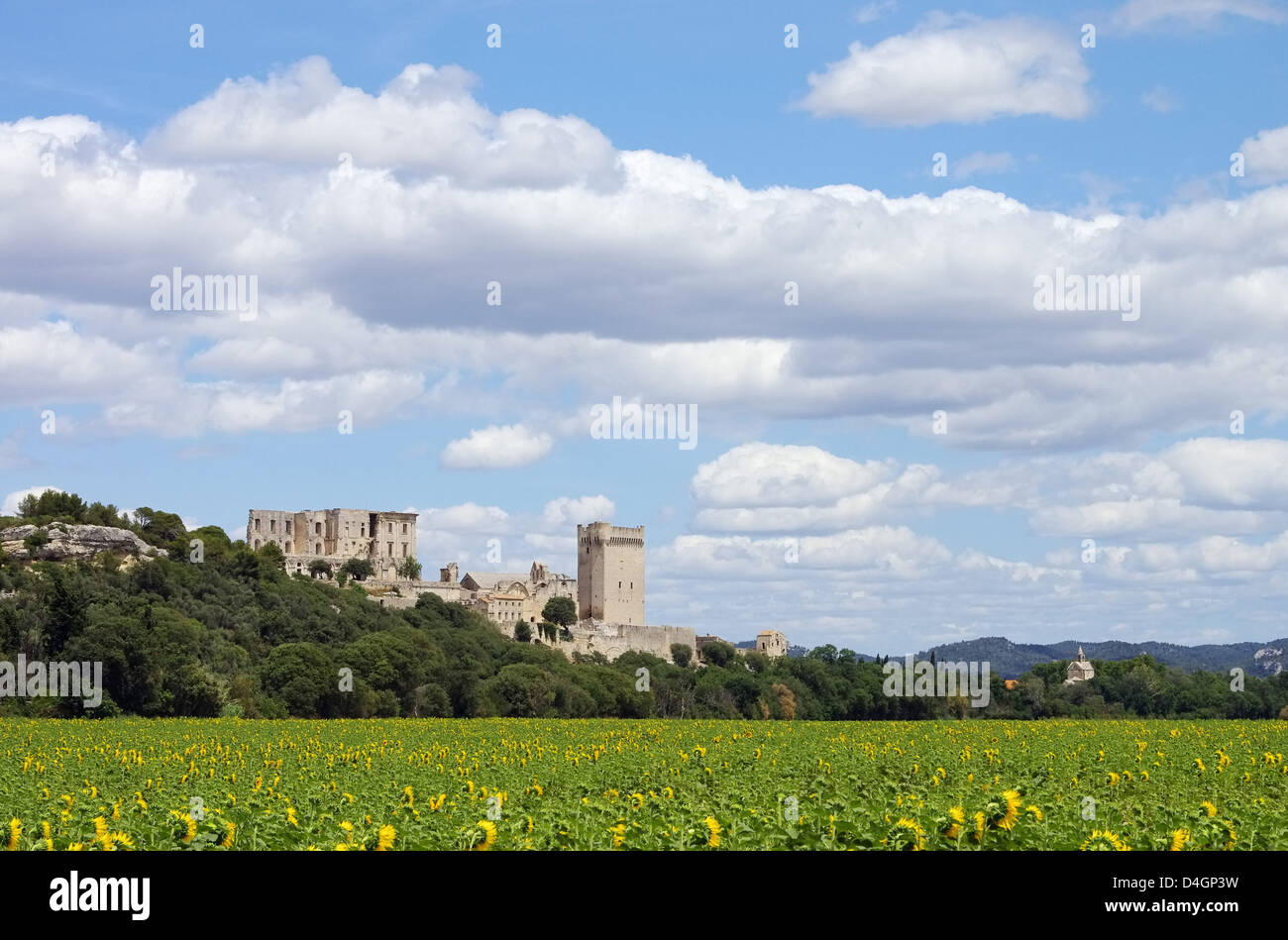 Abbaye de Montmajour 10 Stockfoto