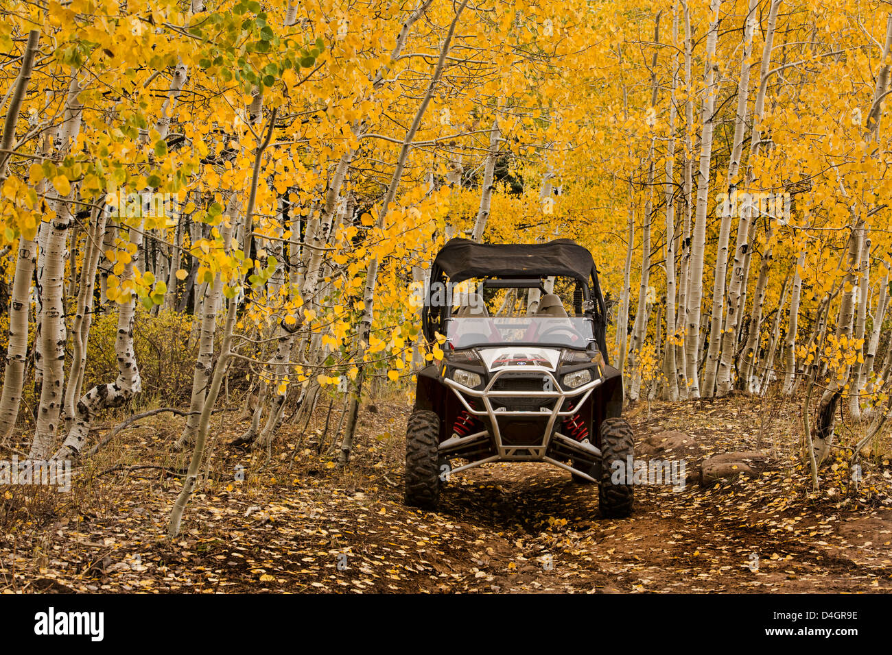 Sport-Fahrzeug Polaris RZR Bergwald. Spaß Erholung im Freien. Reiten in den Rocky Mountains. Stockfoto