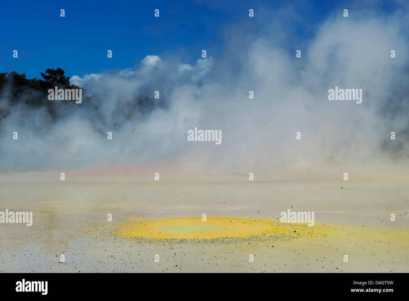 Waiotapu Thermalgebiet, Rotorua, Nordinsel, Neuseeland Stockfoto