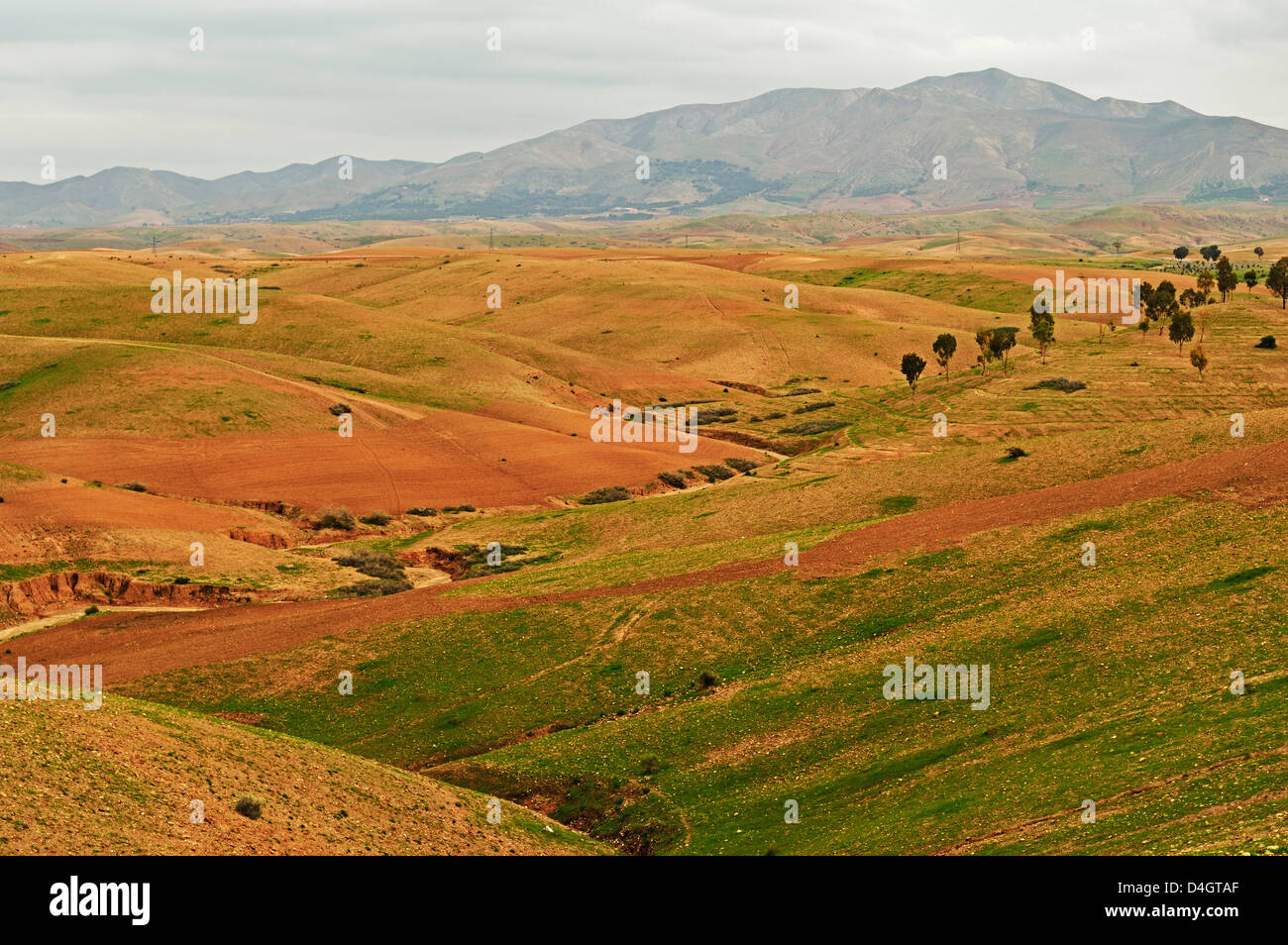 Traditionelle Berber Land in der Nähe von Ait Khaled, hoher Atlas, Marokko, Nordafrika Stockfoto