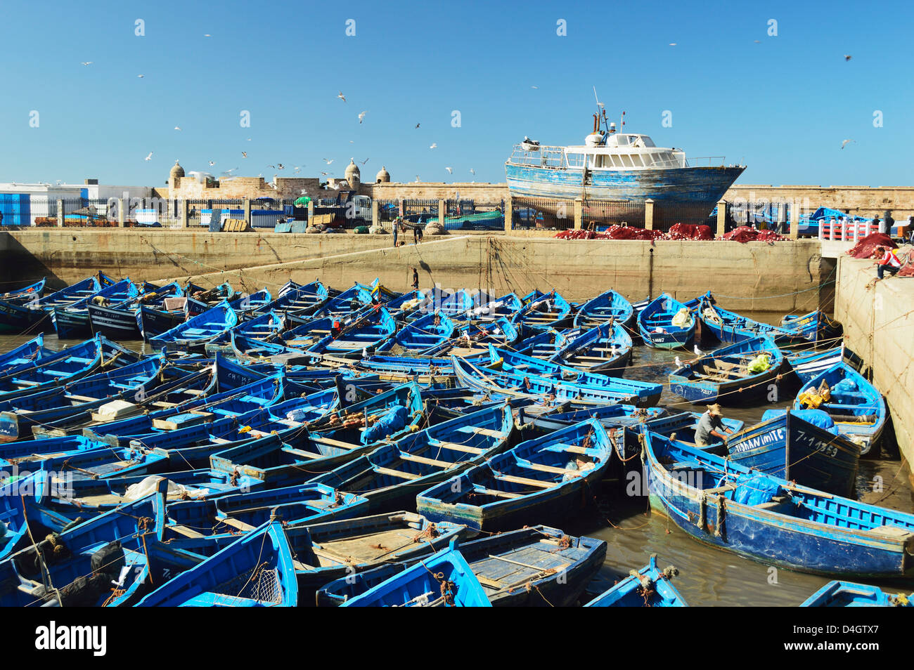 Hafen, Essaouira, Atlantikküste, Marokko, Nordafrika Stockfoto