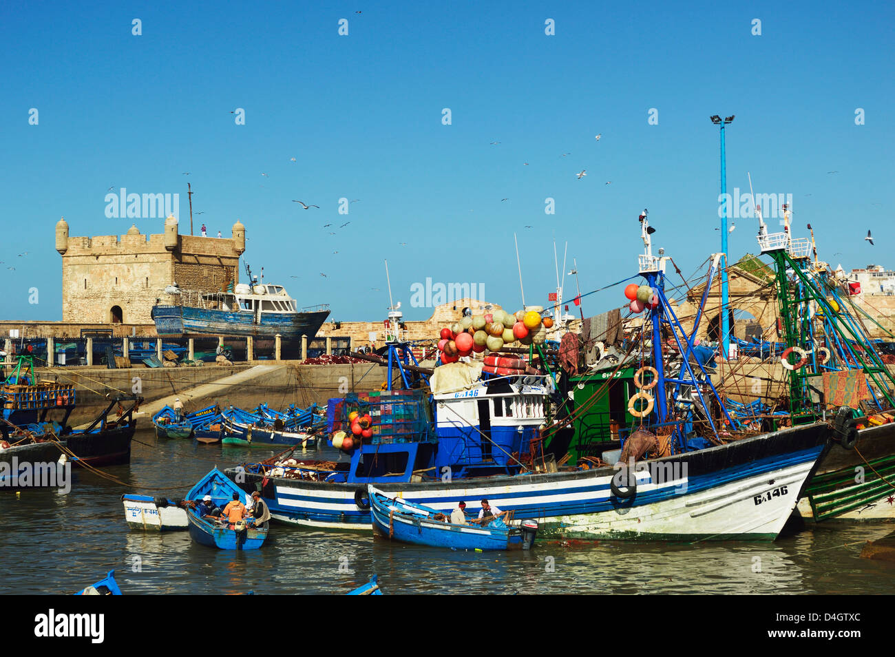Hafen und Zitadelle, Essaouira, Atlantikküste, Marokko, Nordafrika Stockfoto