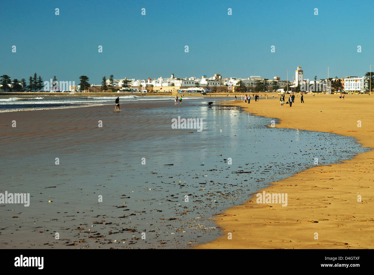 Blick auf Essaouira, Atlantikküste, Marokko, Nordafrika Stockfoto