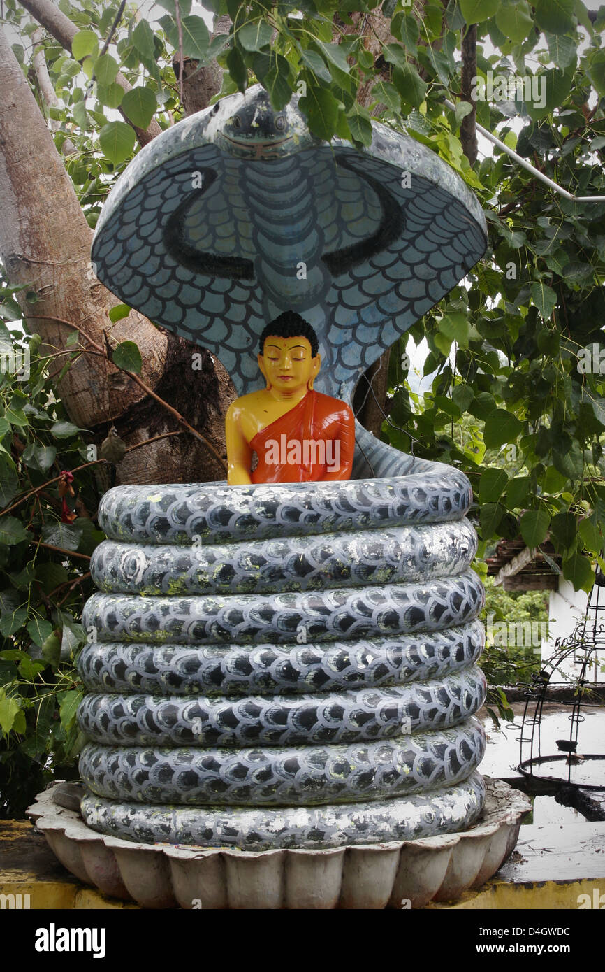 Am Straßenrand buddhistischen Schrein mit Buddha-Statue, geschützt durch eine riesige Kobra, Sri Lanka Stockfoto