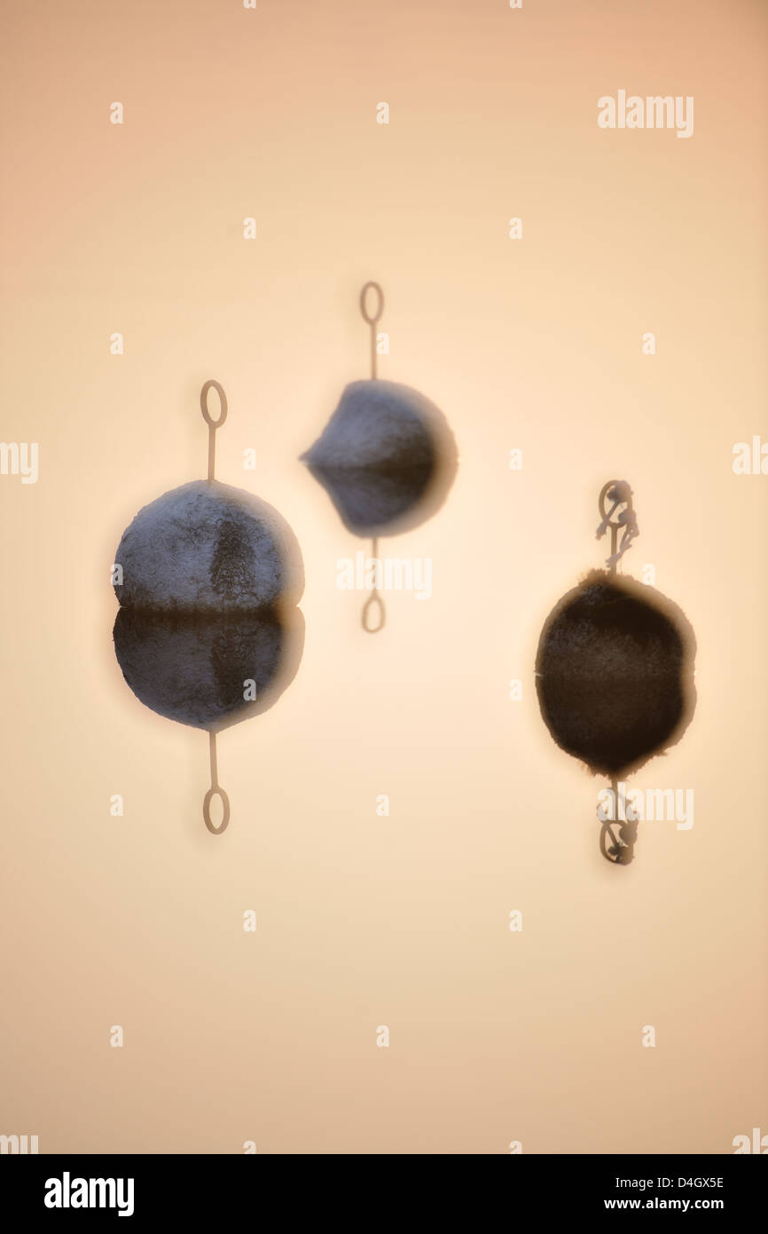 Bojen schwimmen in nebligen See, Ärlången, Östergötland, Schweden, Europa Stockfoto