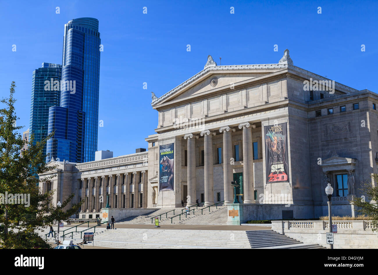 Das Field Museum, Chicago, Illinois, USA Stockfoto