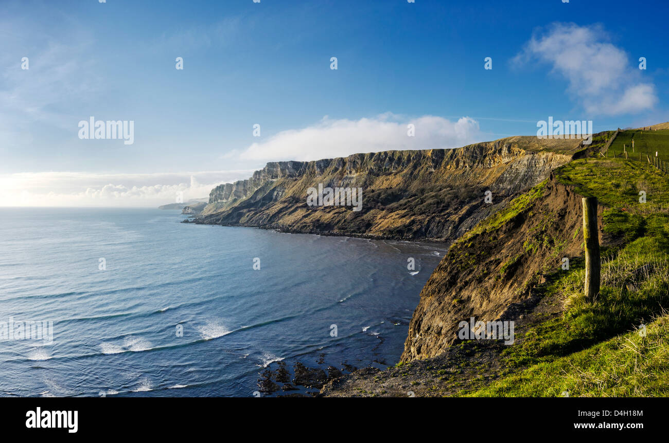 Gad Klippen von Kimmeridge Bucht an der Jurassic Coast, ist der South West Coast Path auf der rechten Seite des Zauns. Stockfoto