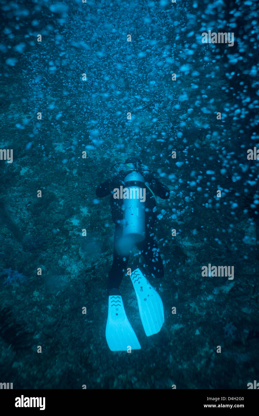 Taucher unter Wasser, Thailand, Andamanen See, Indischer Ozean Stockfoto