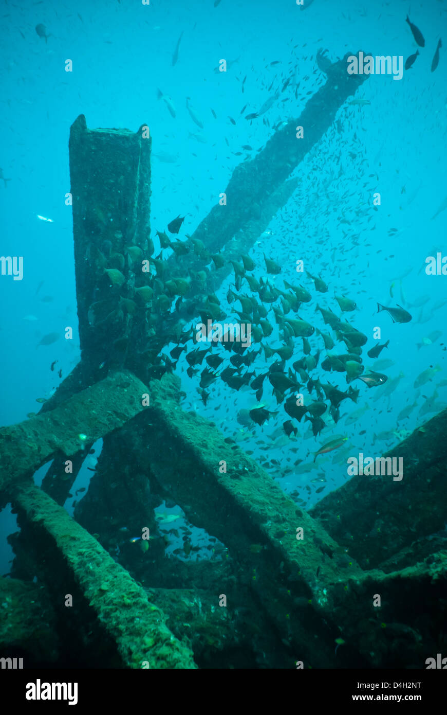 Wracktauchen Sie, Südthailand, Andaman Meer, Indischer Ozean, Südostasien Stockfoto