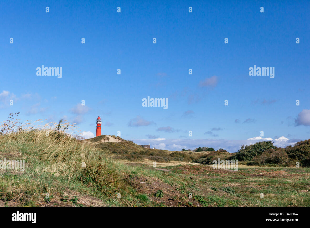 Blick Richtung rote Leuchtturm, über Dünen und Heide, Schiermonnikoog, West Ostfriesischen Inseln, Niederlande (Holland) Stockfoto