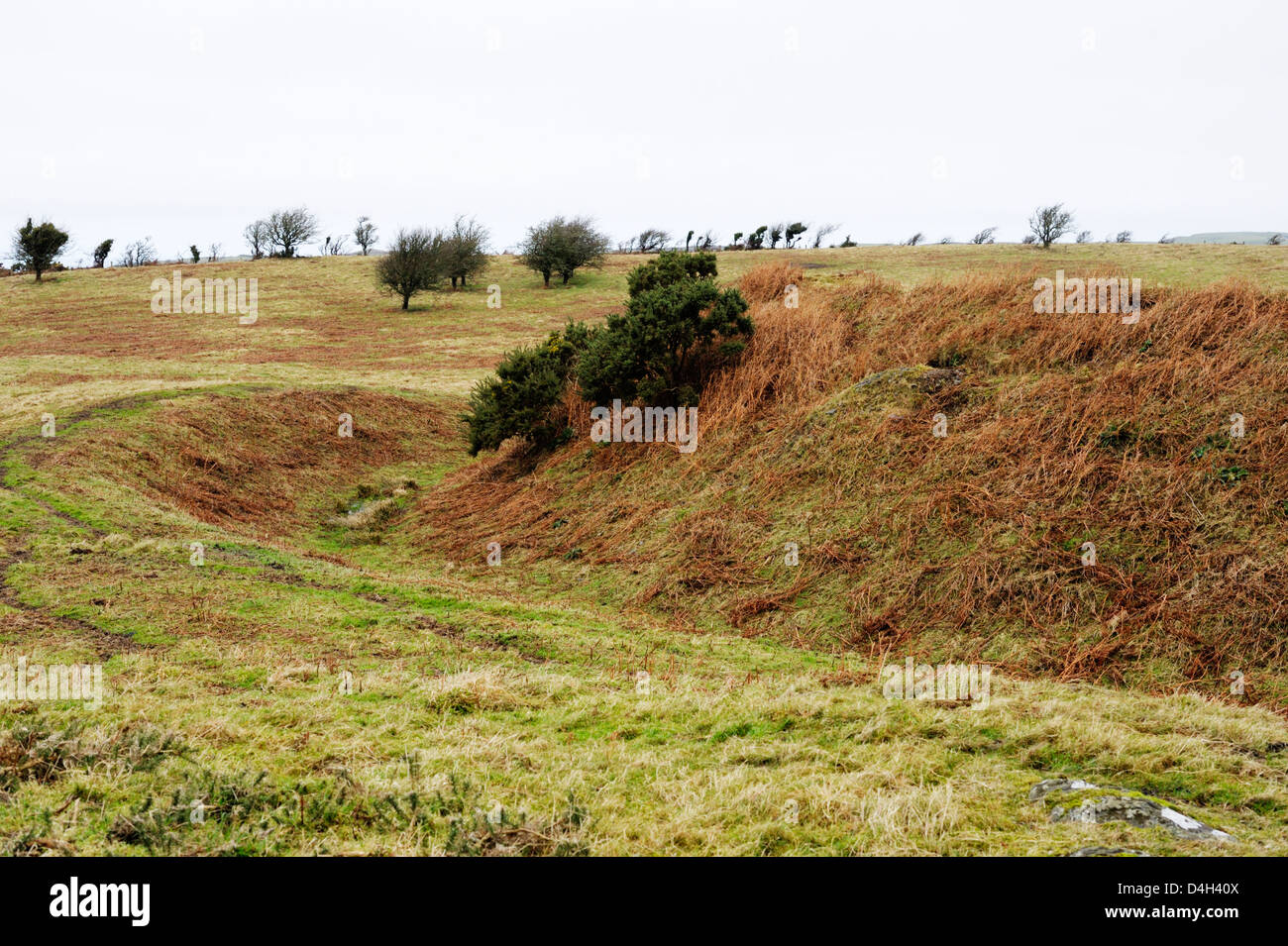 Bank und Graben einer normannischen Motte und Bailey, die in der Eisenzeit Hill Fort gebaut, Caer Penrhos, Llanrhystud, Wales Stockfoto