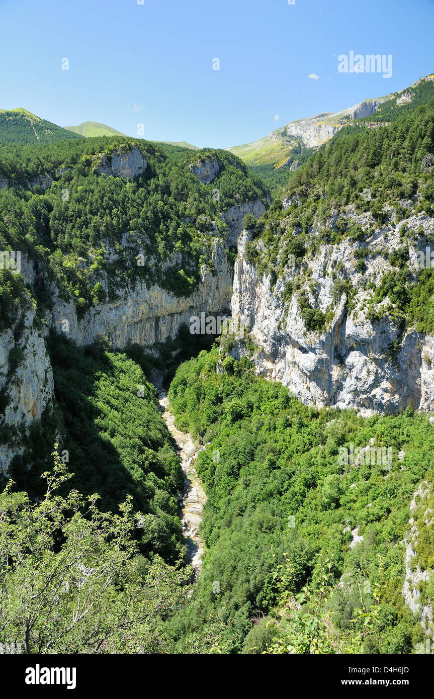 Yaga Fluss und Karst Kalksteinfelsen der Escuain Schlucht, Ordesa und Monte Perdido Nationalpark, Huesca, Aragon, Spanien Stockfoto