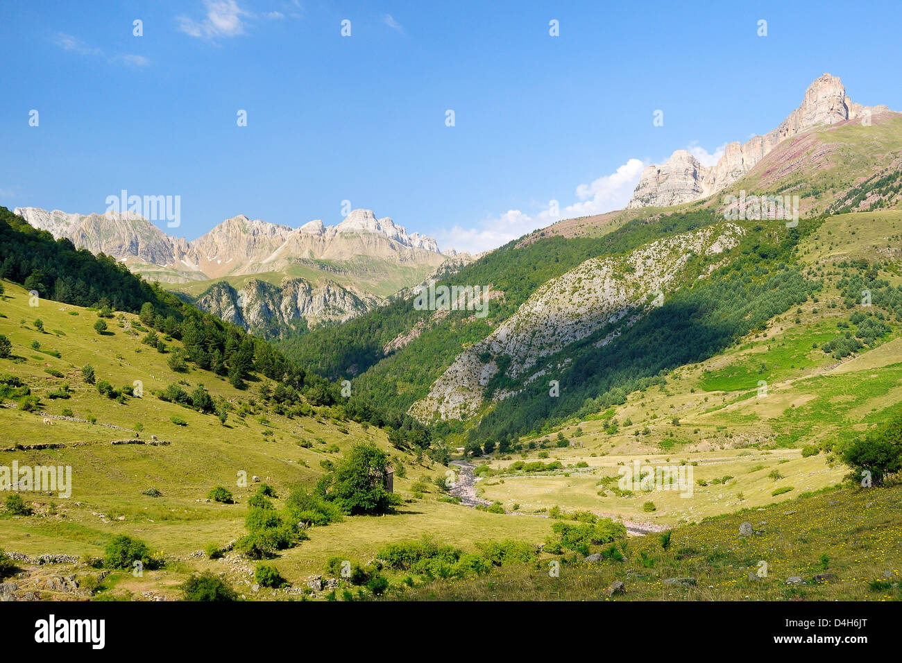 Rio Aragon Subordan und oberen Hecho-Tal überragt vom Karst Kalkstein Berge und Wälder, Huesca, Aragon, Spanien Stockfoto