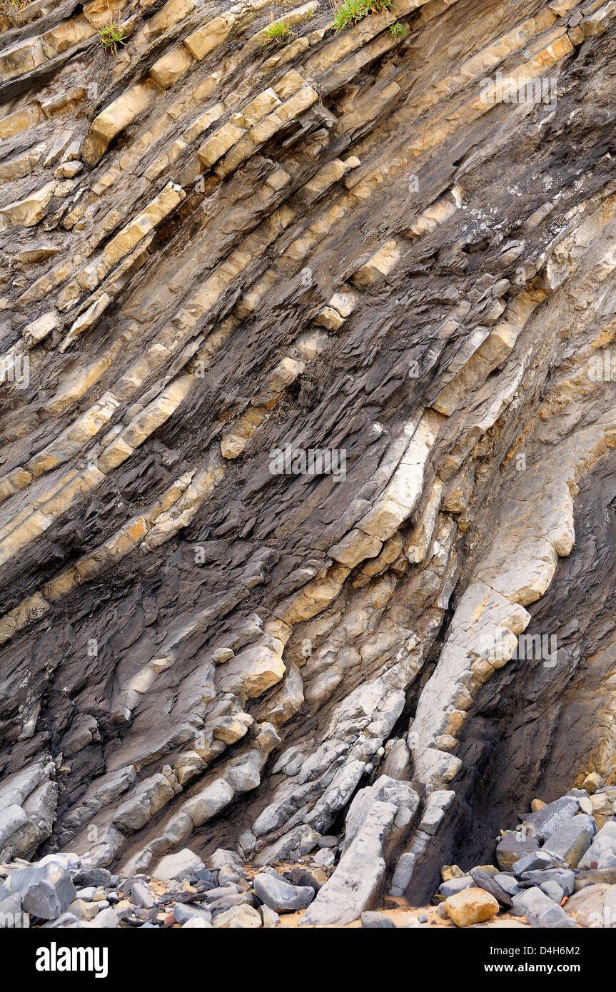 Gefaltete Schichten der Jura Kalkstein und Mergel Sedimentgestein in den Klippen bei Vega Strand, Ribadesella, Asturien, Spanien Stockfoto