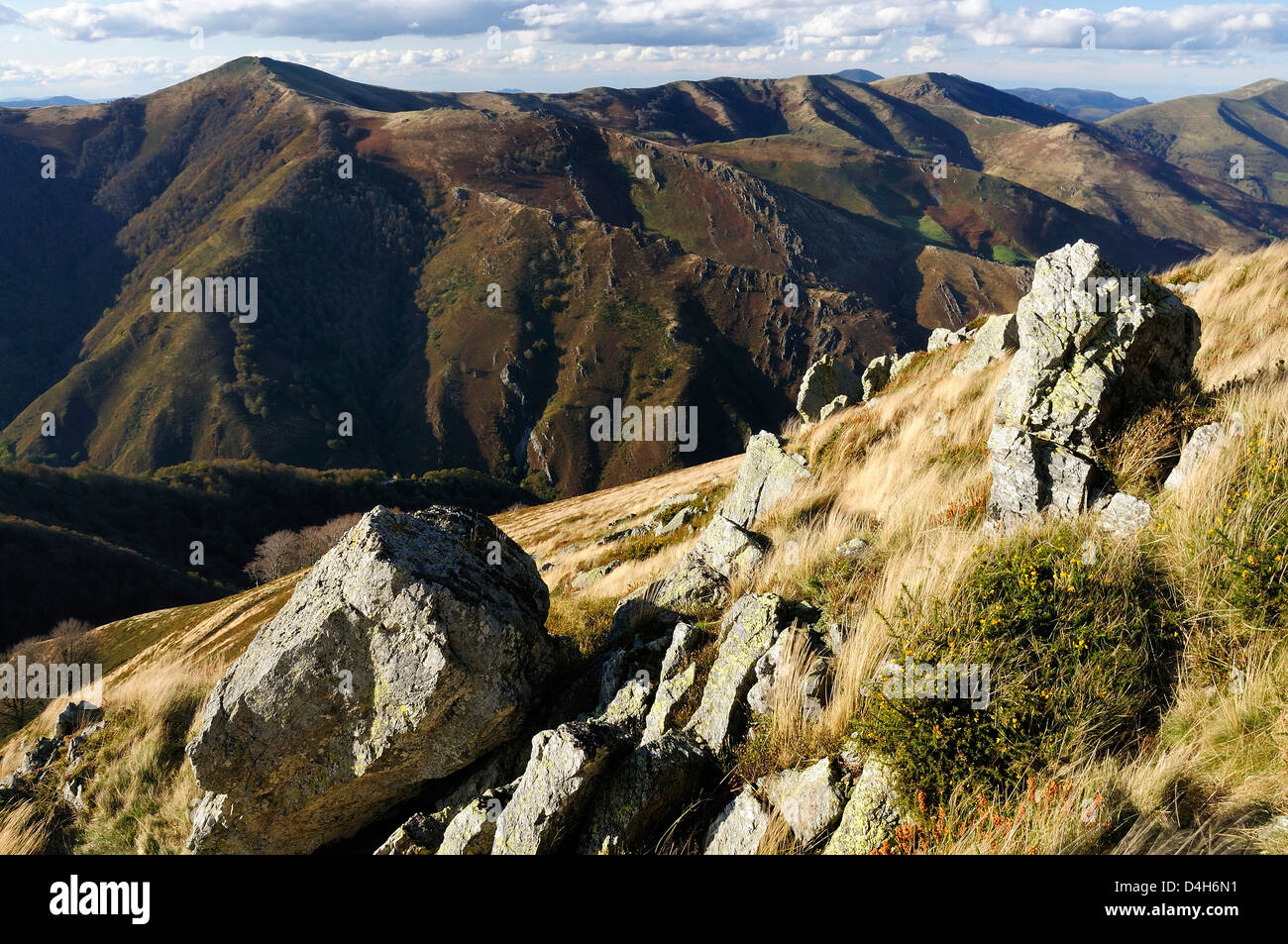 Pyreneean Bergrücken in der Nähe von Roncesvalles im Spätherbst, an der Grenze zwischen Frankreich und Spanien Stockfoto