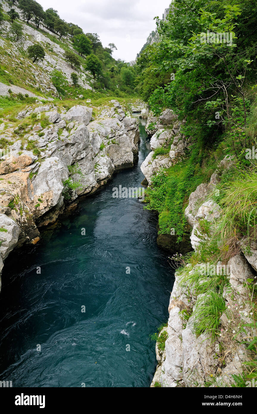 Rio Cares schnitzen durch Kalkstein Karsttal in den Picos de Europa Bergen, in der Nähe von Scheiben, Asturien, Spanien Stockfoto