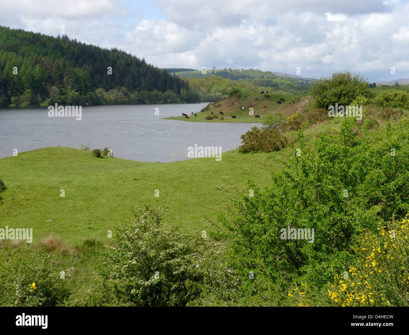 Ein kleiner See in Schottland, umgeben von einer Landschaft. Stockfoto