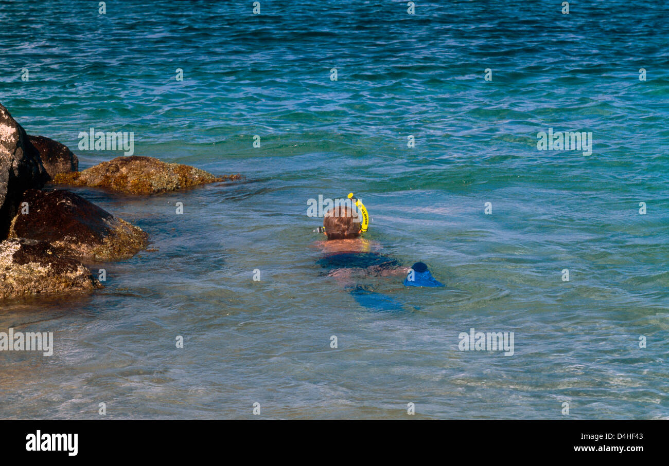 Nevis St. Kitts Nisbit Beach Boy Schnorcheln Stockfoto