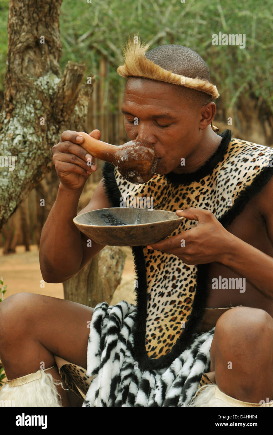 Menschen, Erwachsene Zulu-Mann, der traditionelles afrikanisches Bier aus Kürbis, Shaka Land Themendorf, KwaZulu-Natal, Südafrika, Ethnizität, Kulturen trinkt Stockfoto
