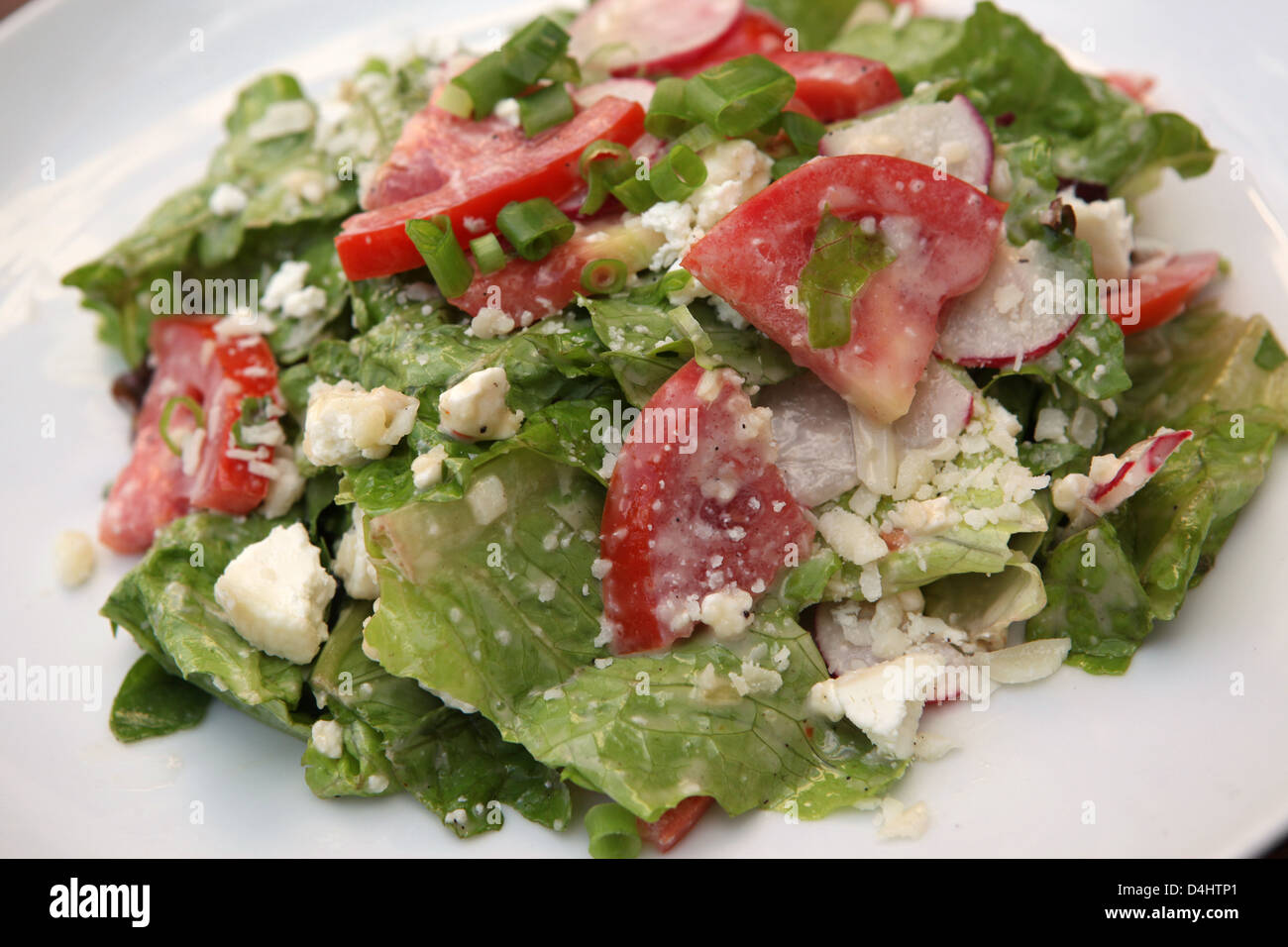 Grüner Salat mit Kopfsalat, Rucola (Rucola) Tomaten und Käse Stockfoto