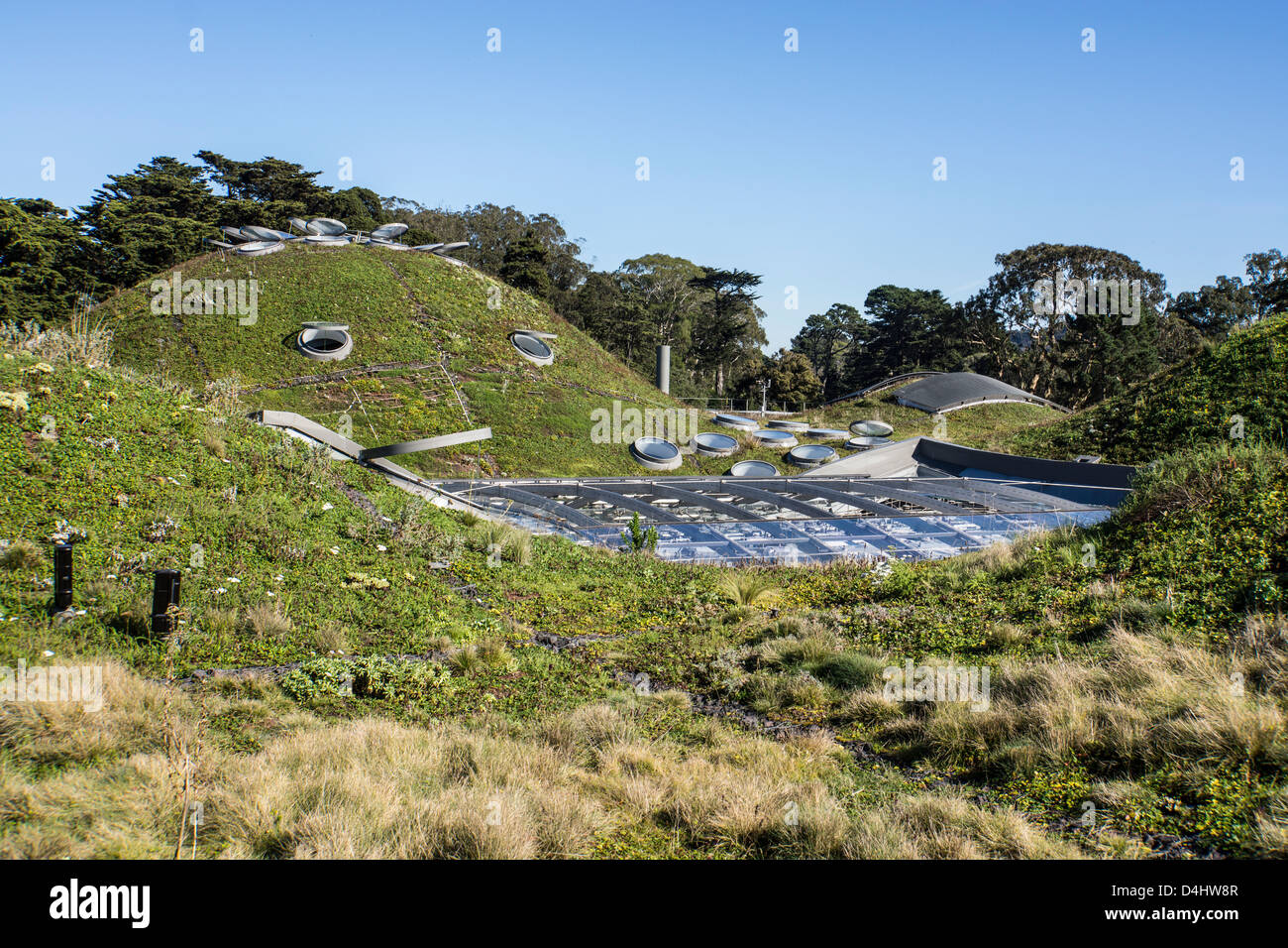 grünes Dach der California Academy of Sciences, zählt zu den größten Museen für Naturgeschichte in der Welt Stockfoto