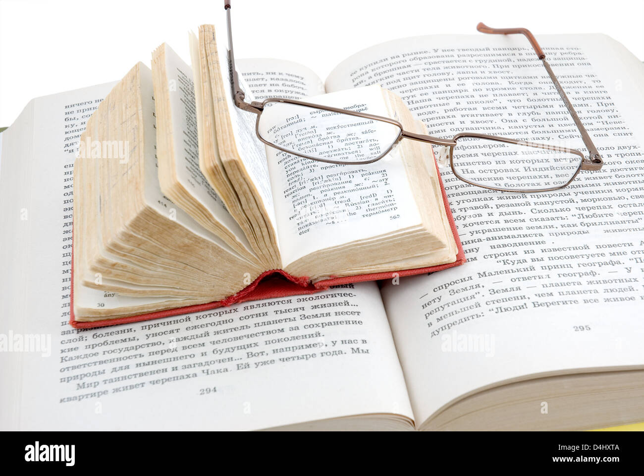 Das kleine rote Wörterbuch legt auf das geöffnete Buch Stockfoto