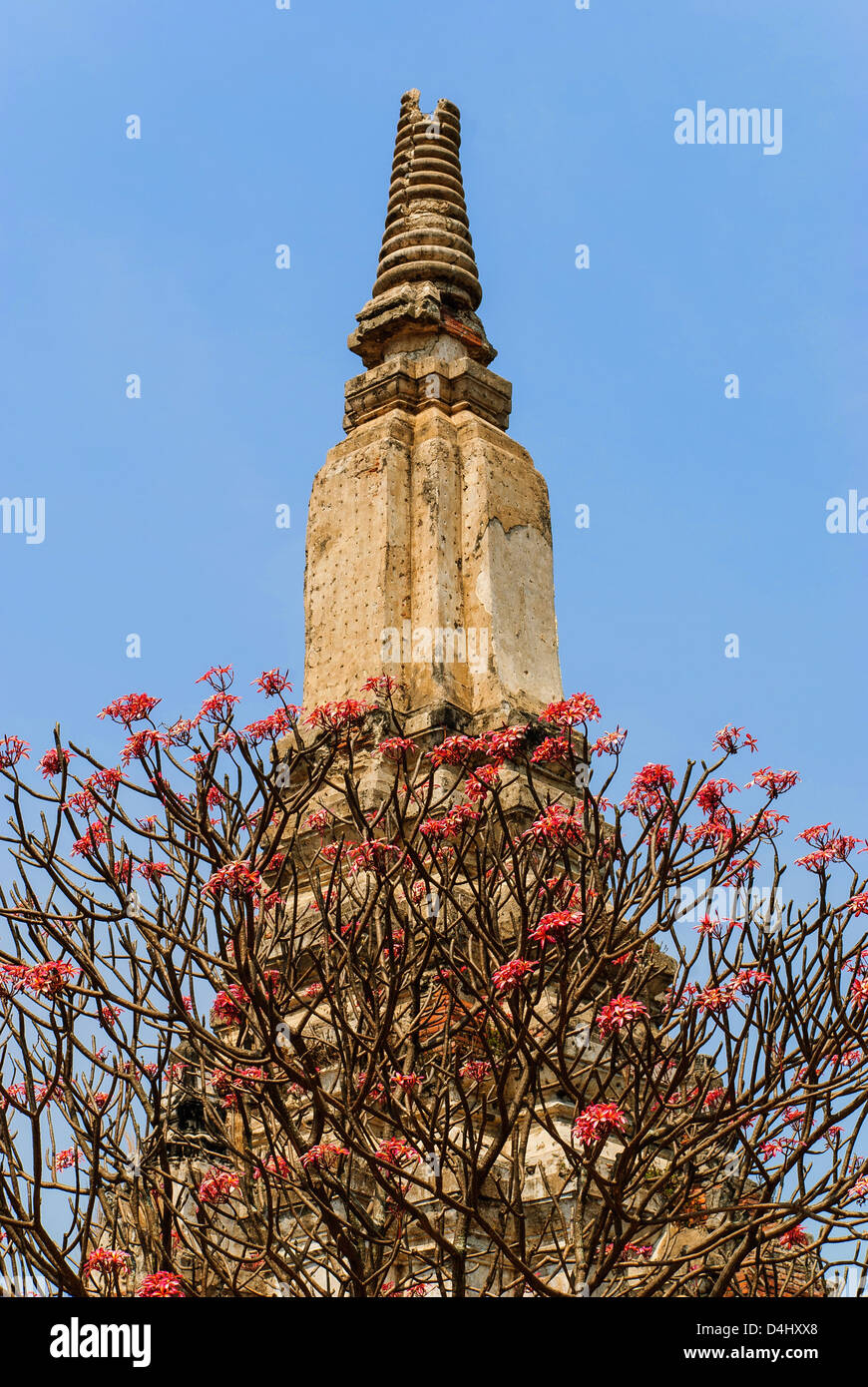 die Pagode und Baum Blume rot ist uralt die touristische Attraktion von Thailand Stockfoto